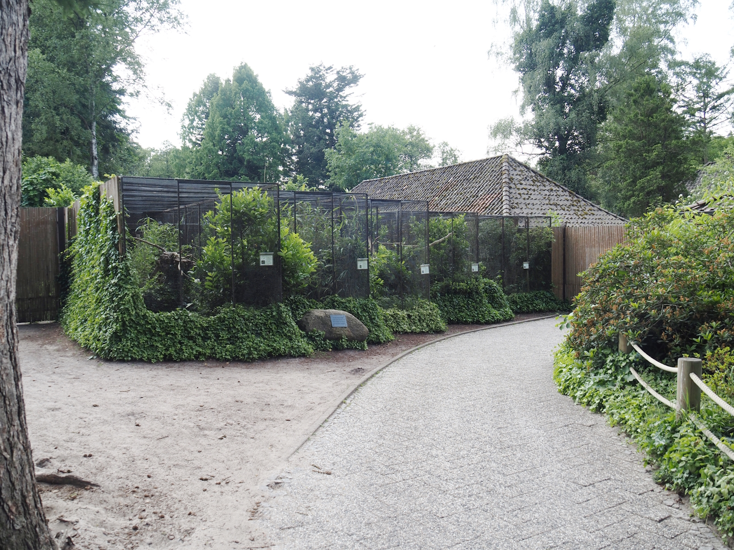 Birds-of-paradise aviary block, 2024-05-21