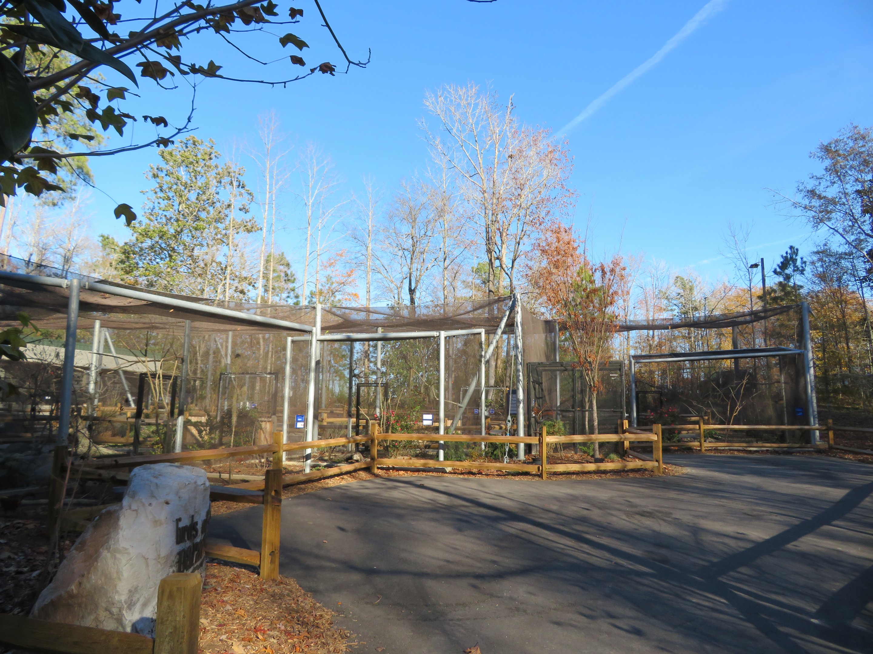 Birds of Paradise Aviary
