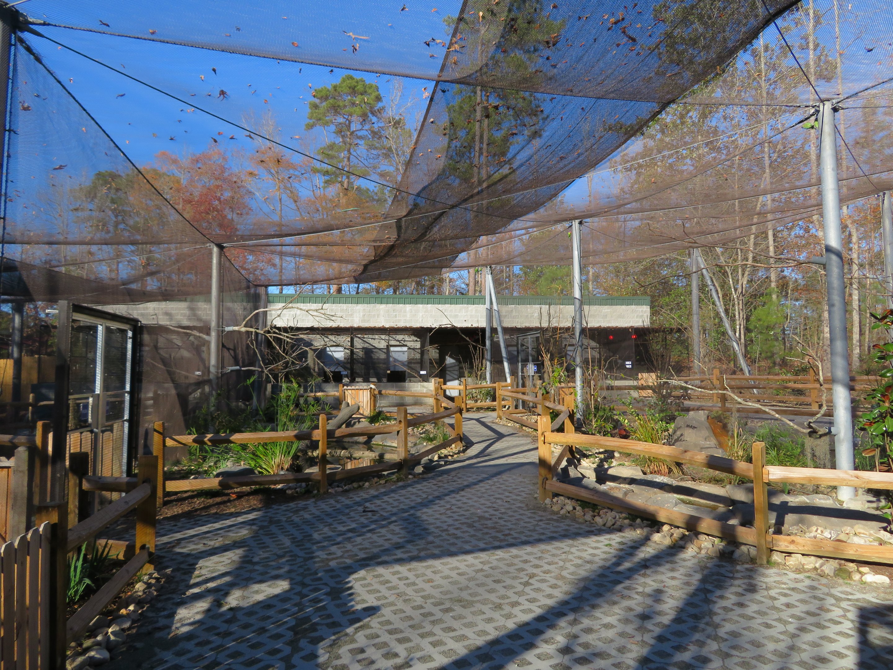 Birds of Paradise Aviary
