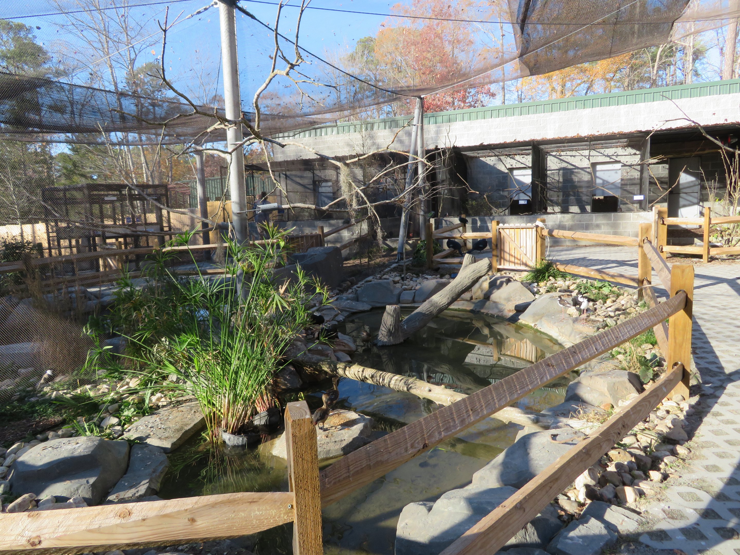 Birds of Paradise Aviary