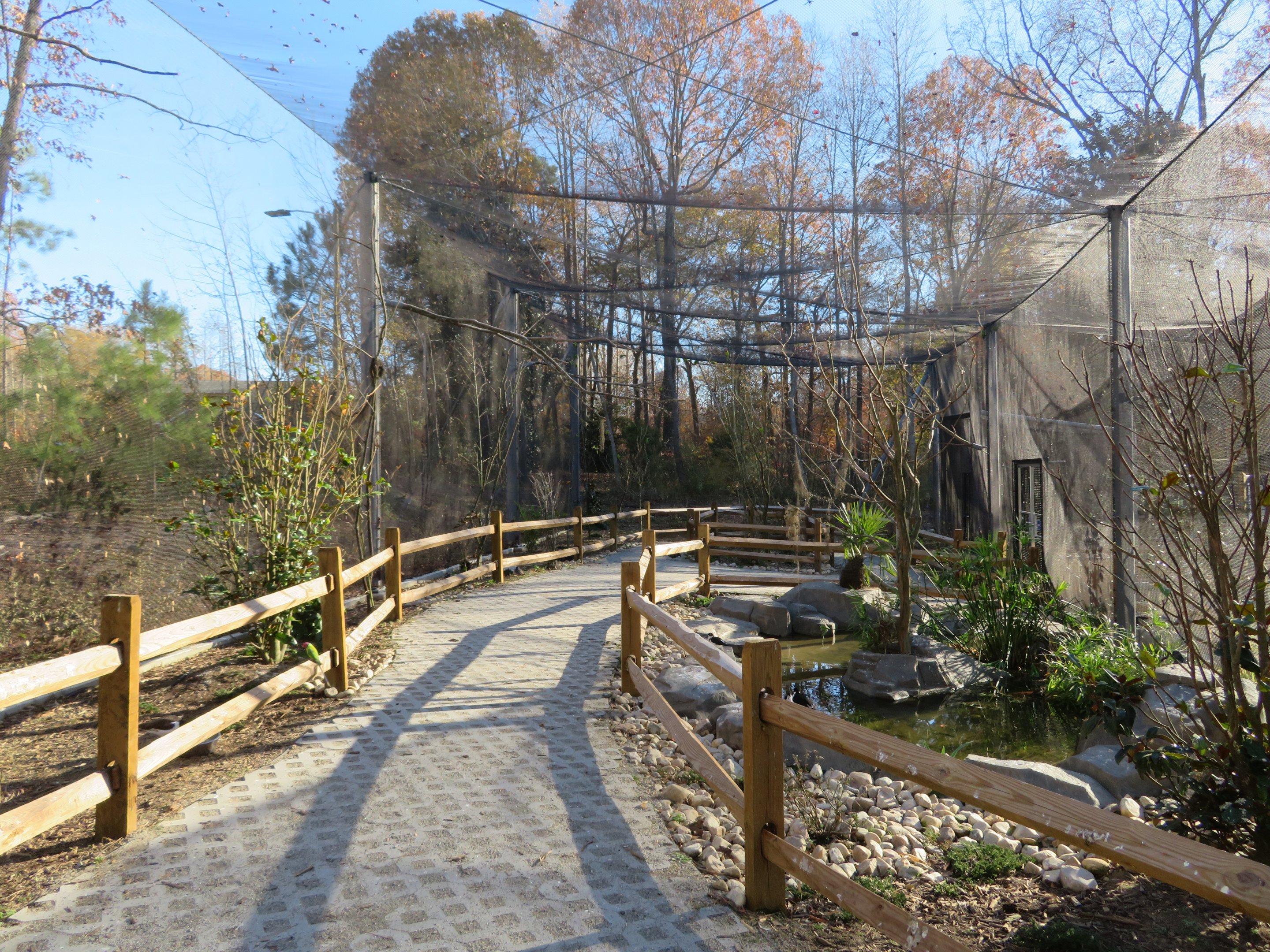 Birds of Paradise Aviary