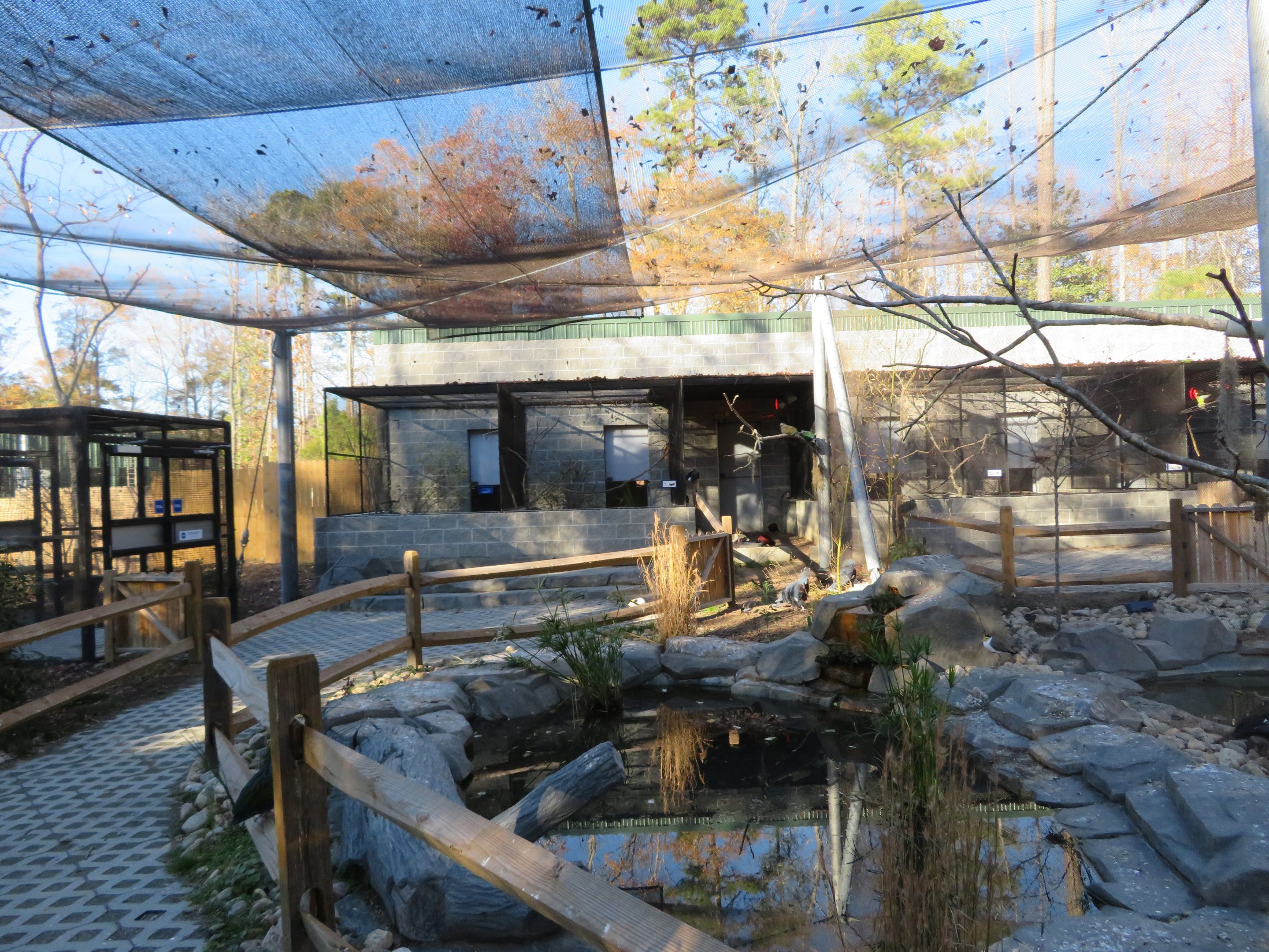 Birds of Paradise Aviary