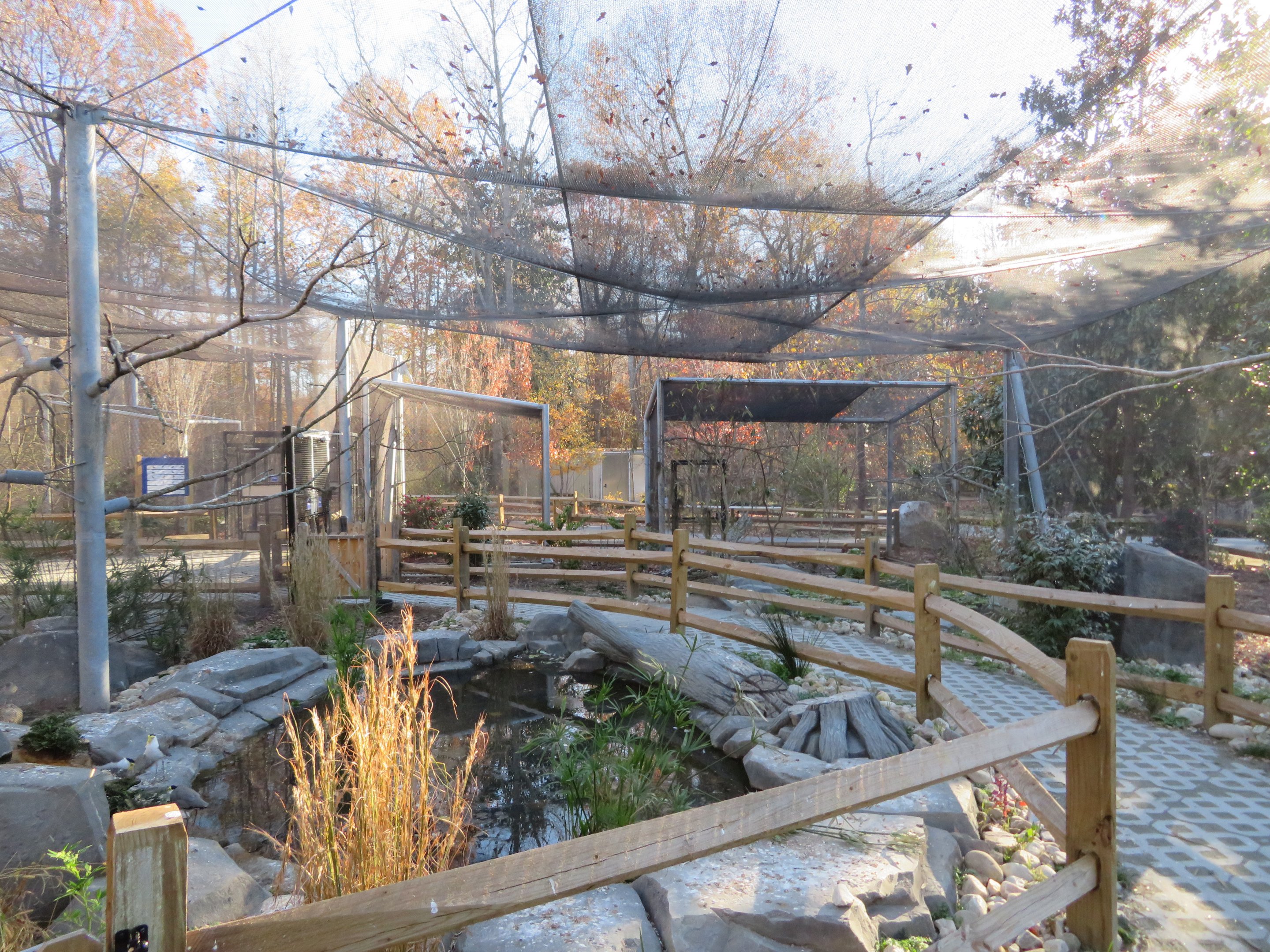 Birds of Paradise Aviary