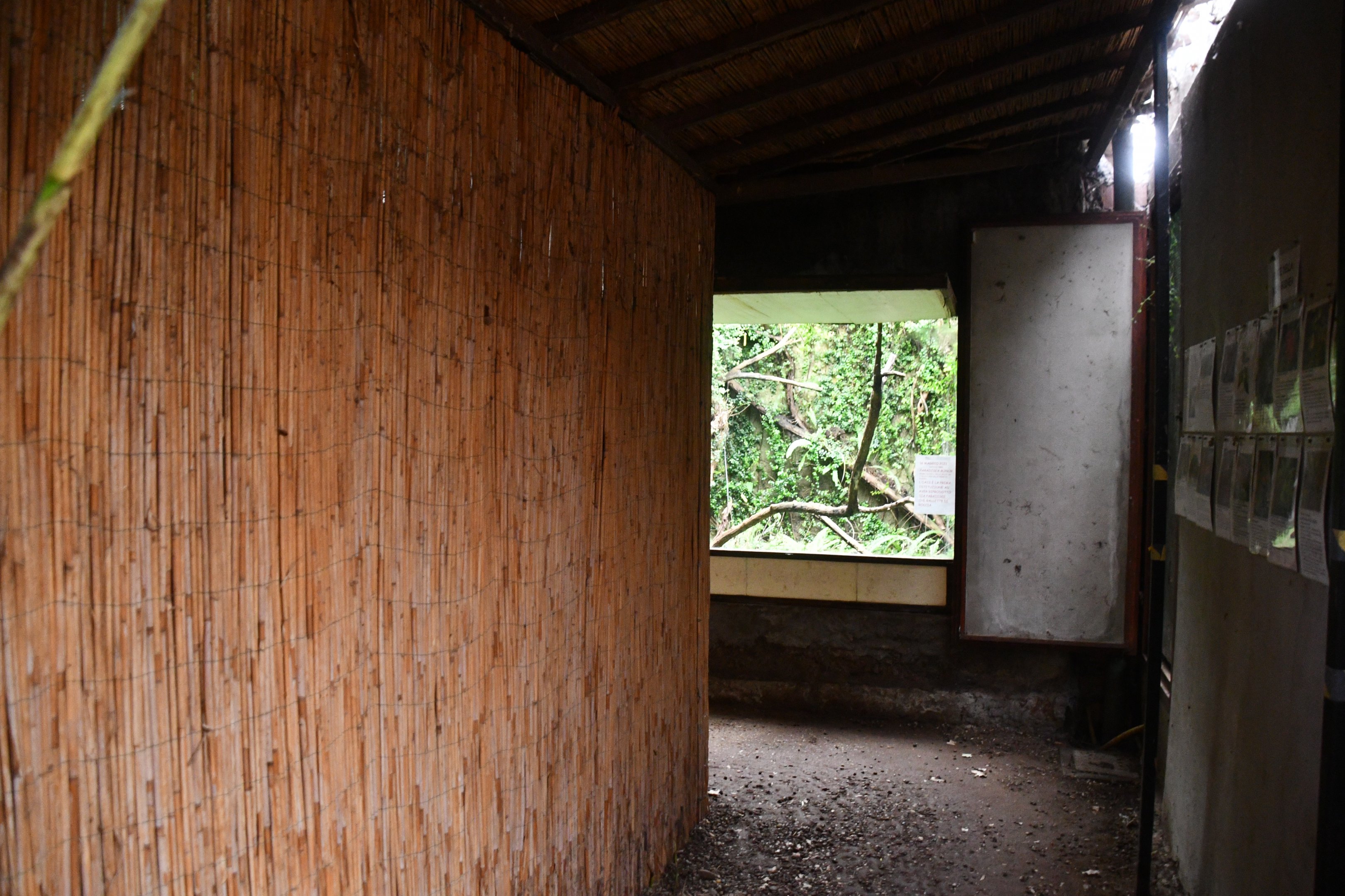 Birds of Paradise hallway