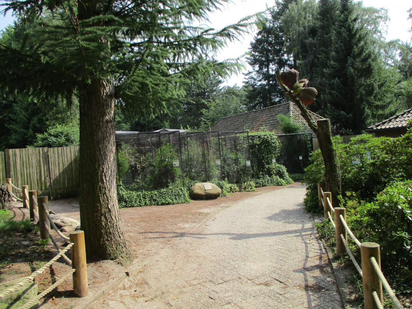 Birds-of-paradise section