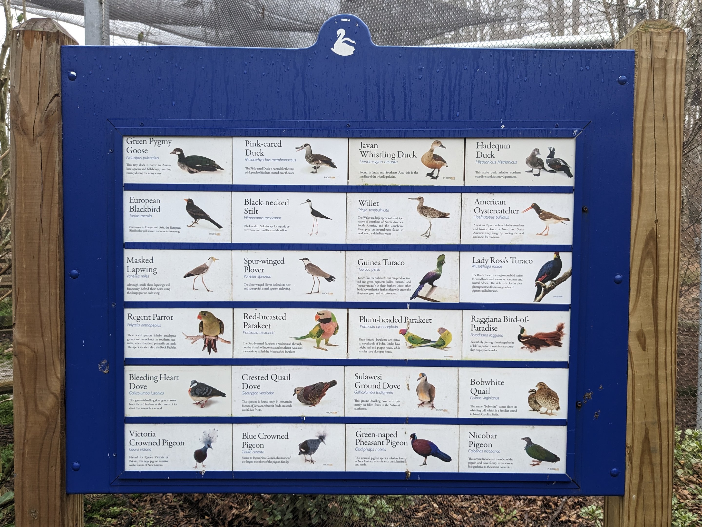 Birds of Paradise sign
