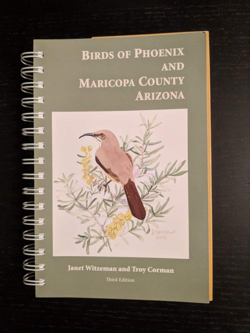 Birds of Phoenix and Maricopa County Arizona