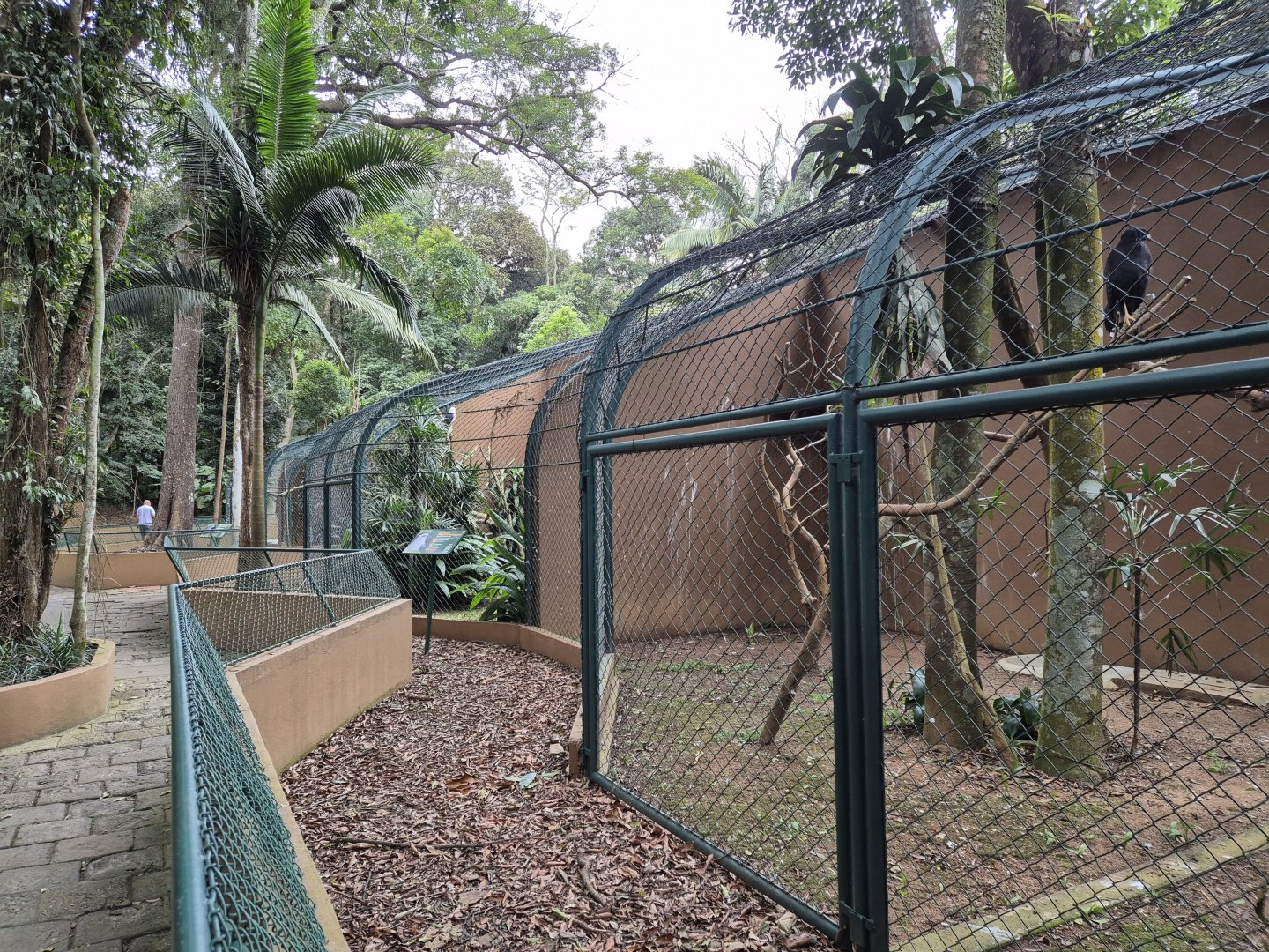 Birds of Pray aviaries