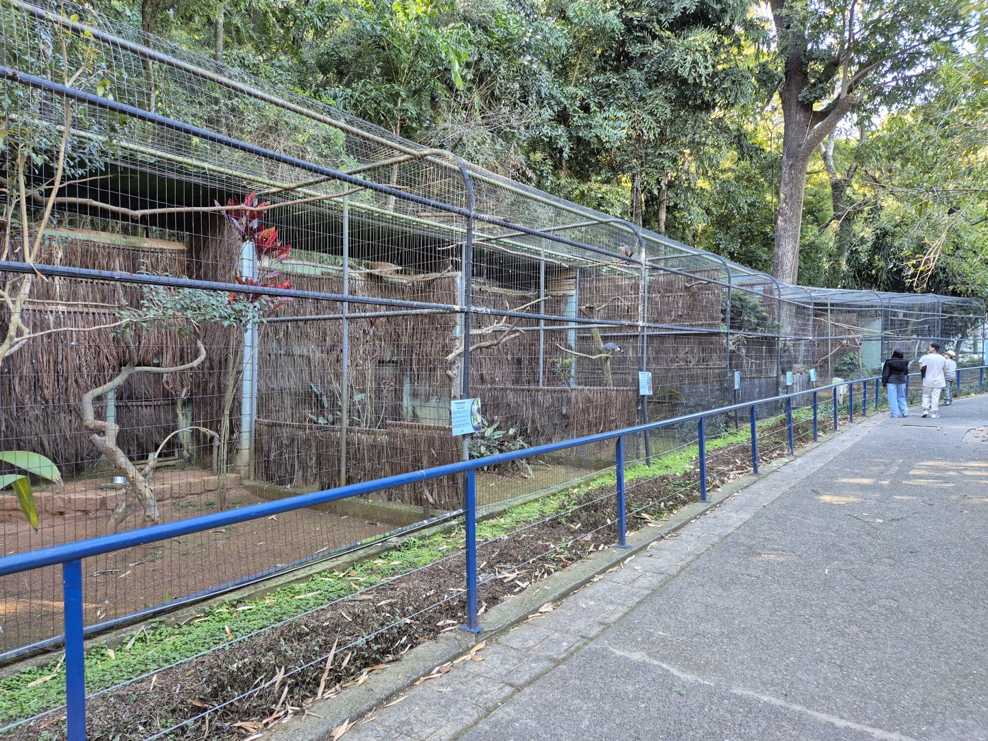 Birds of Pray exhibits