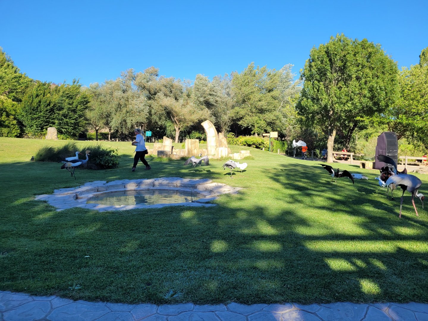 Birds-of-prey amphitheater -Sendaviva (2024)