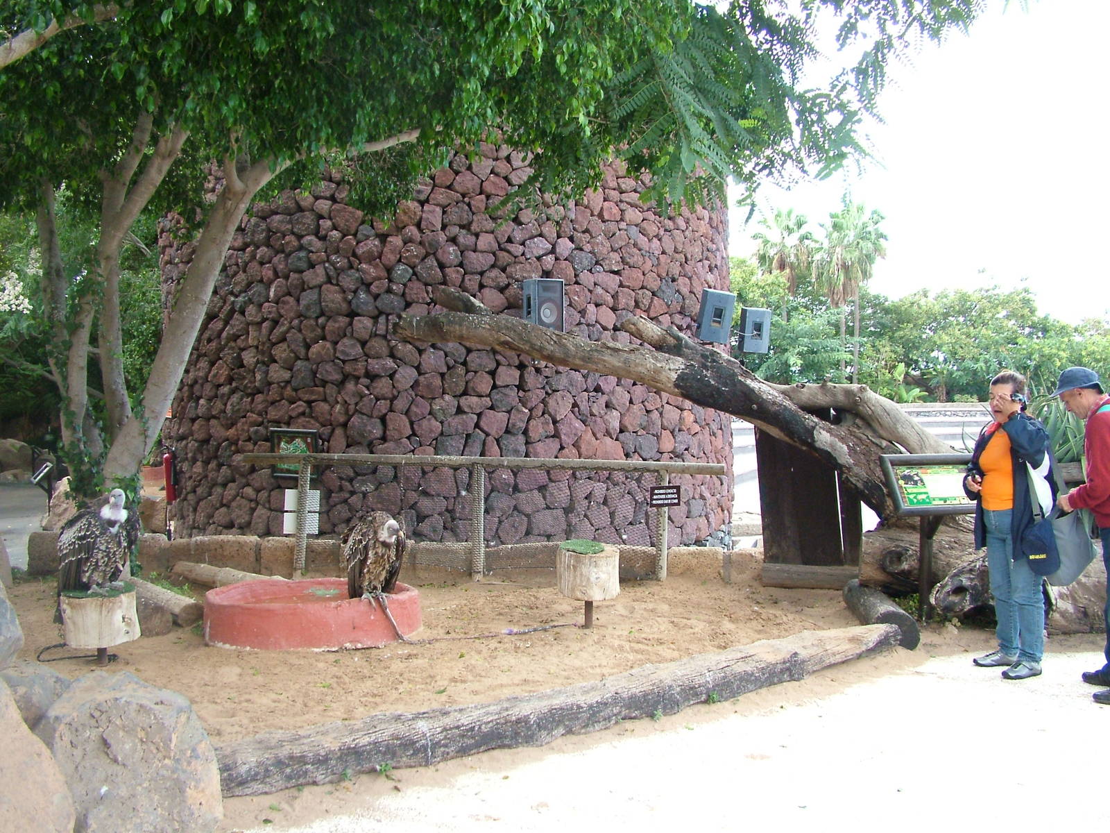 Birds of Prey at Jungle Park (Las Aguilas), 13/11/10
