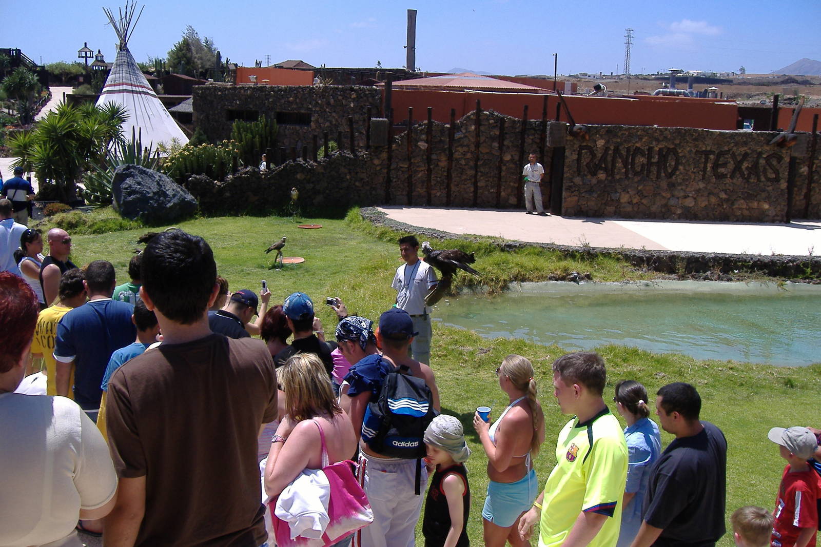 Birds of Prey at Rancho Texas Park, Lanzarote, 29 April 2007