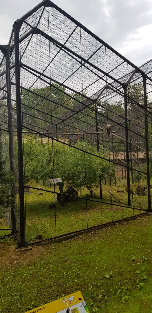 Birds of prey avairies