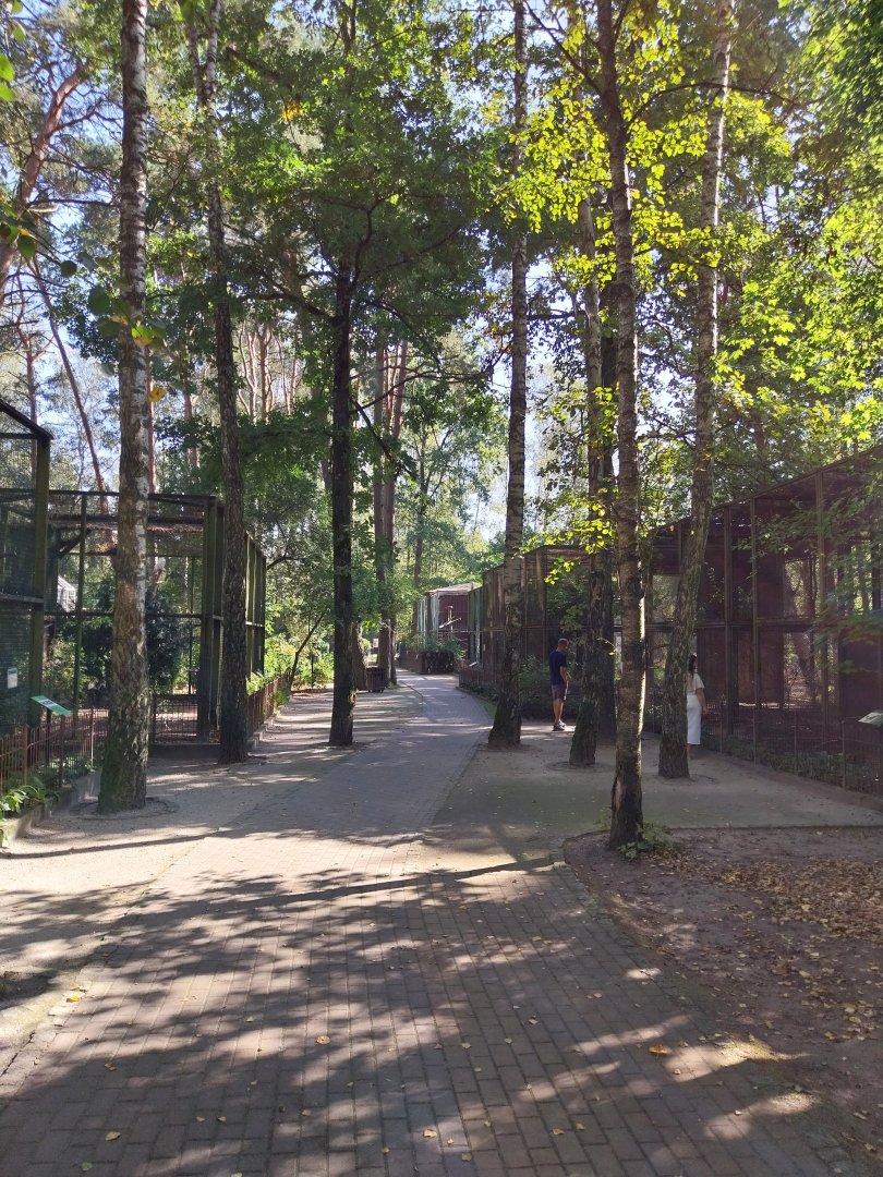 Birds of Prey avenue