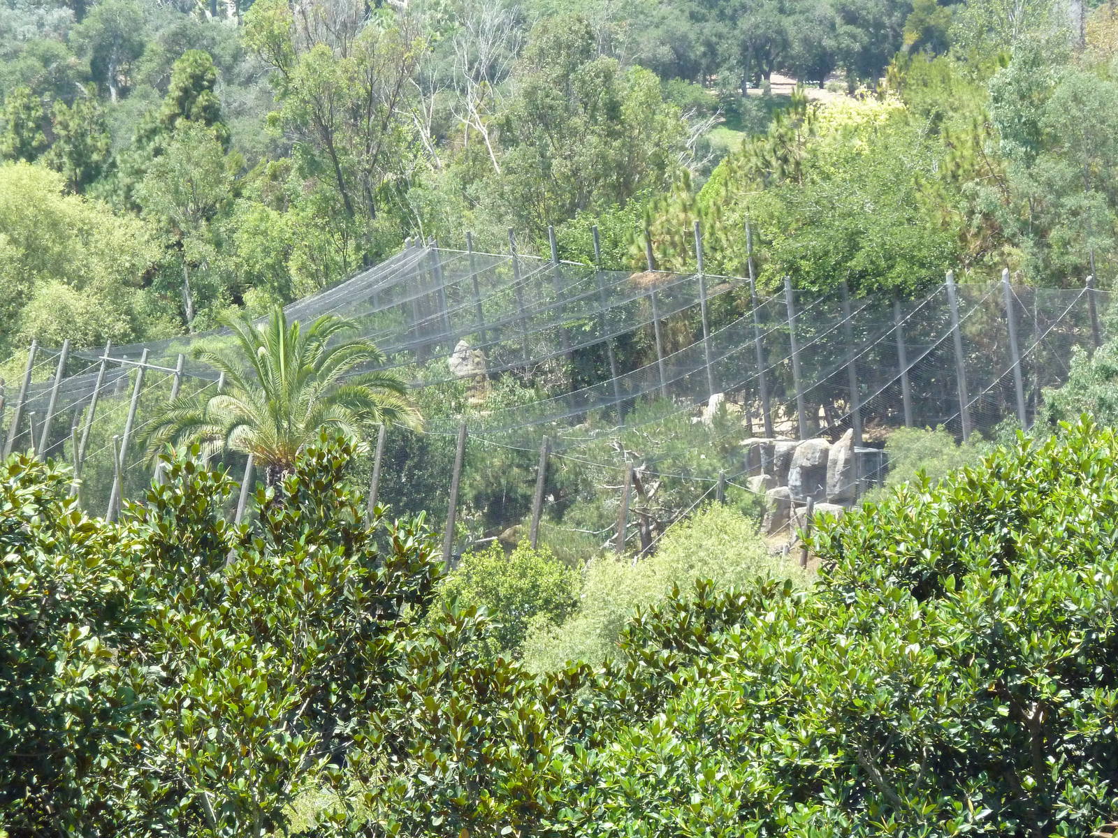 Birds Of Prey Aviaries (4 Species)