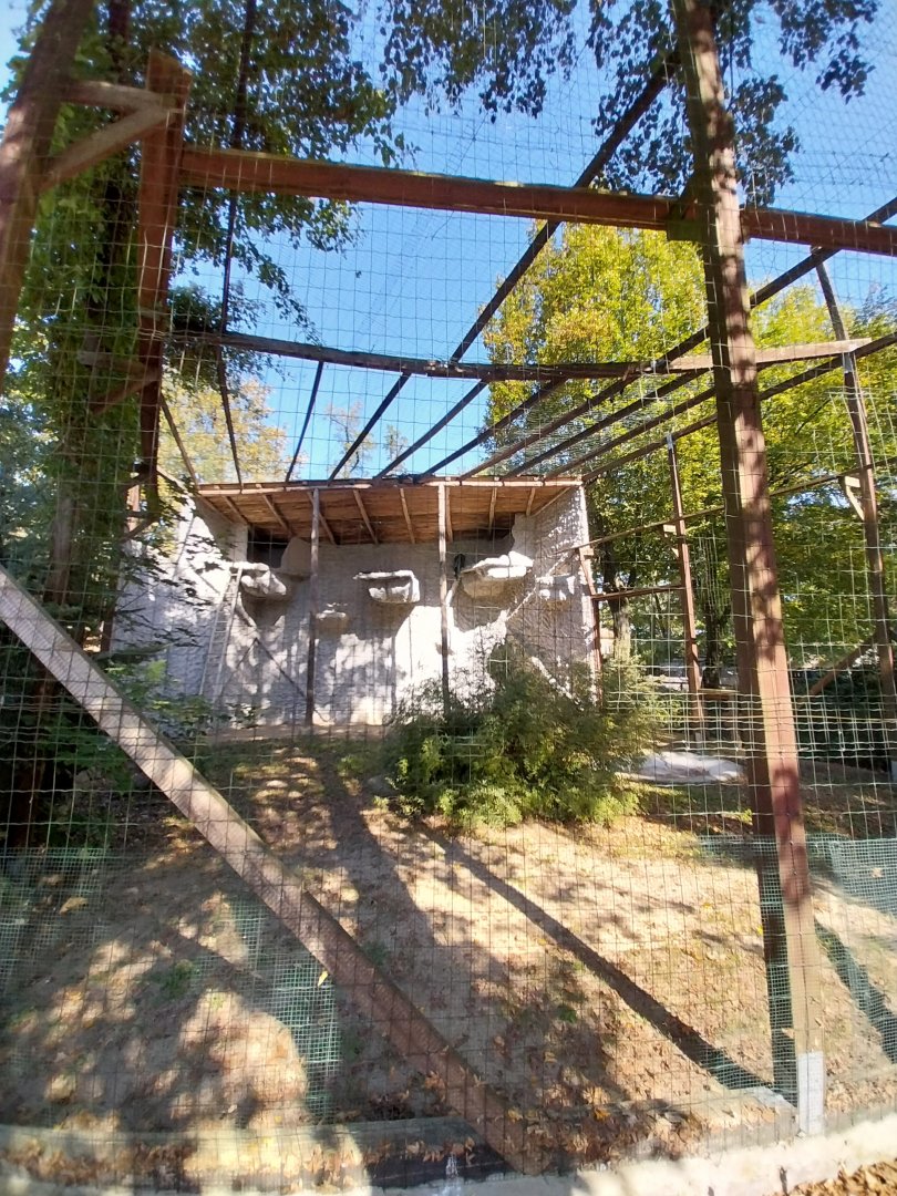Birds of Prey aviaries - Bearded Vulture (Gypaetus barbatus barbatus)