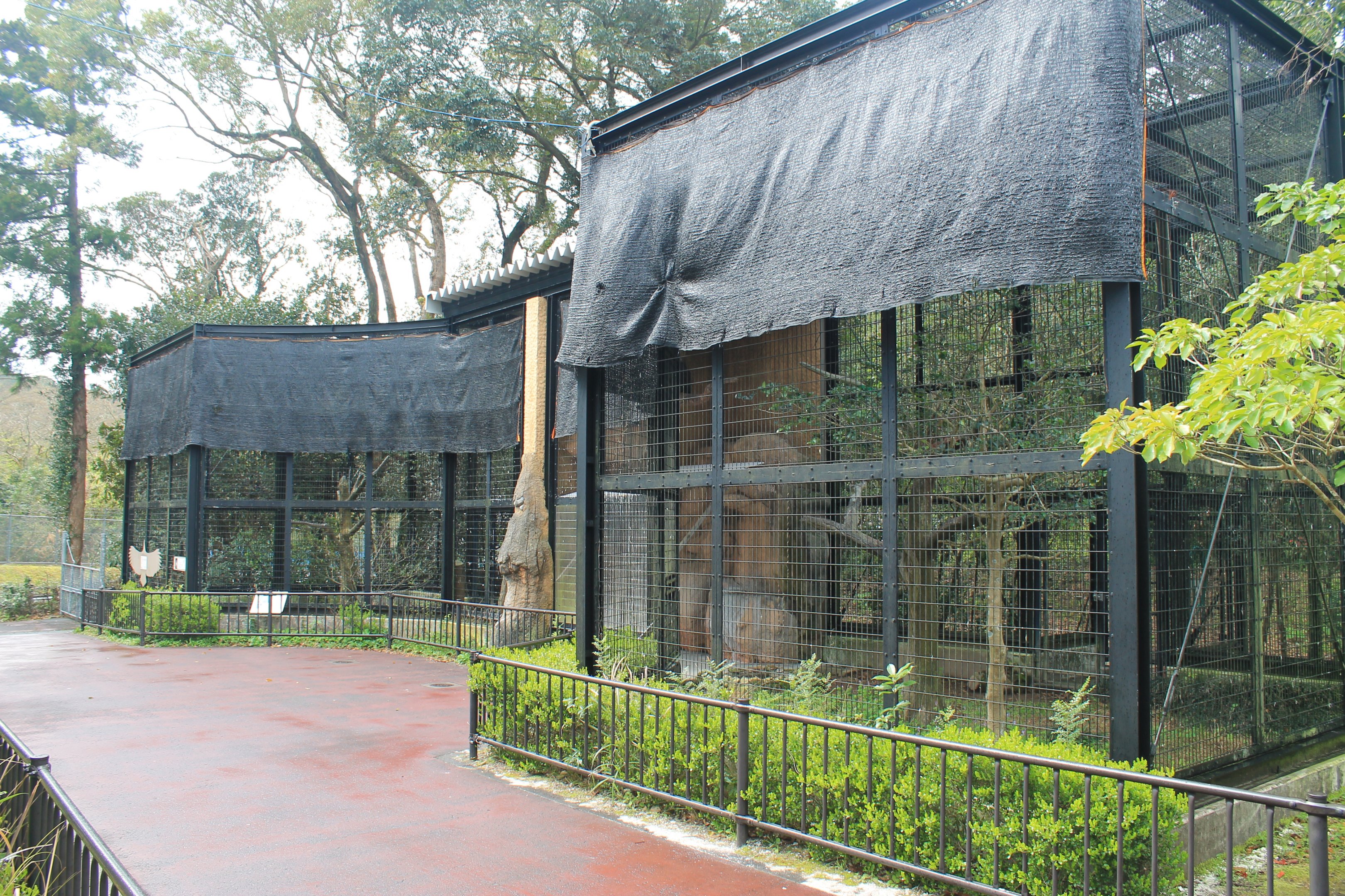 Birds of prey aviaries - Hirakawa Zoo (Kagoshima)