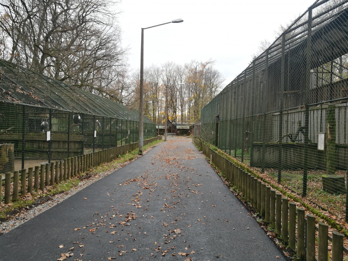 Birds of Prey Aviaries I