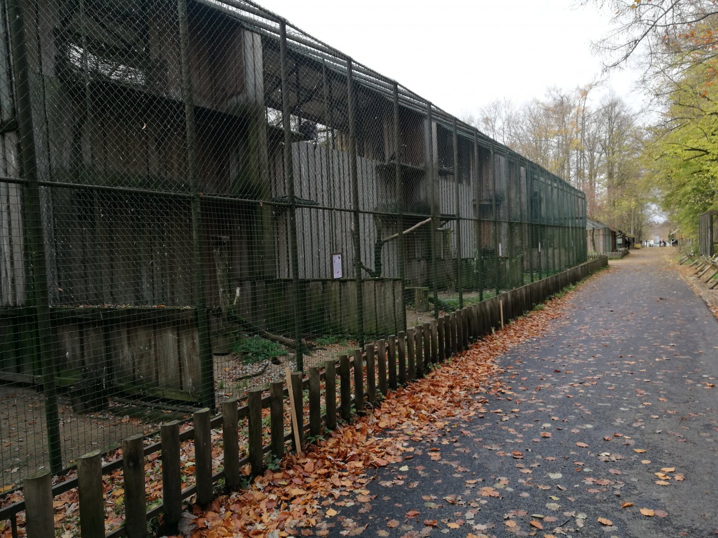 Birds of Prey Aviaries II