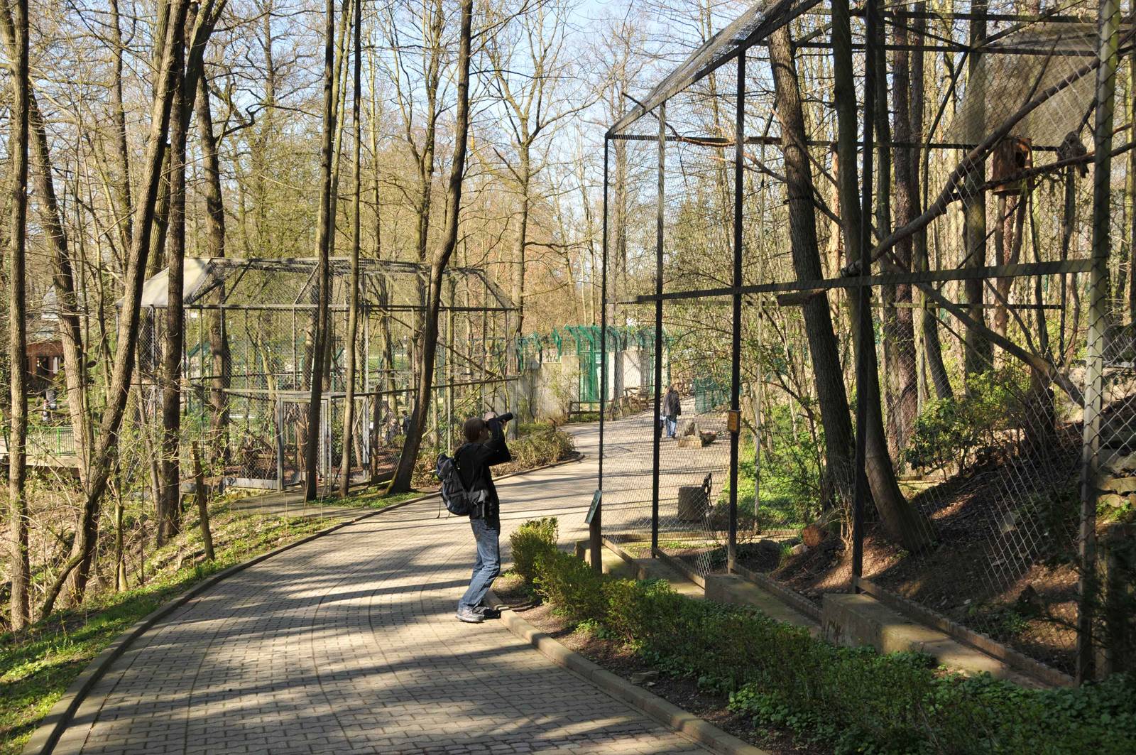 Birds of prey aviaries