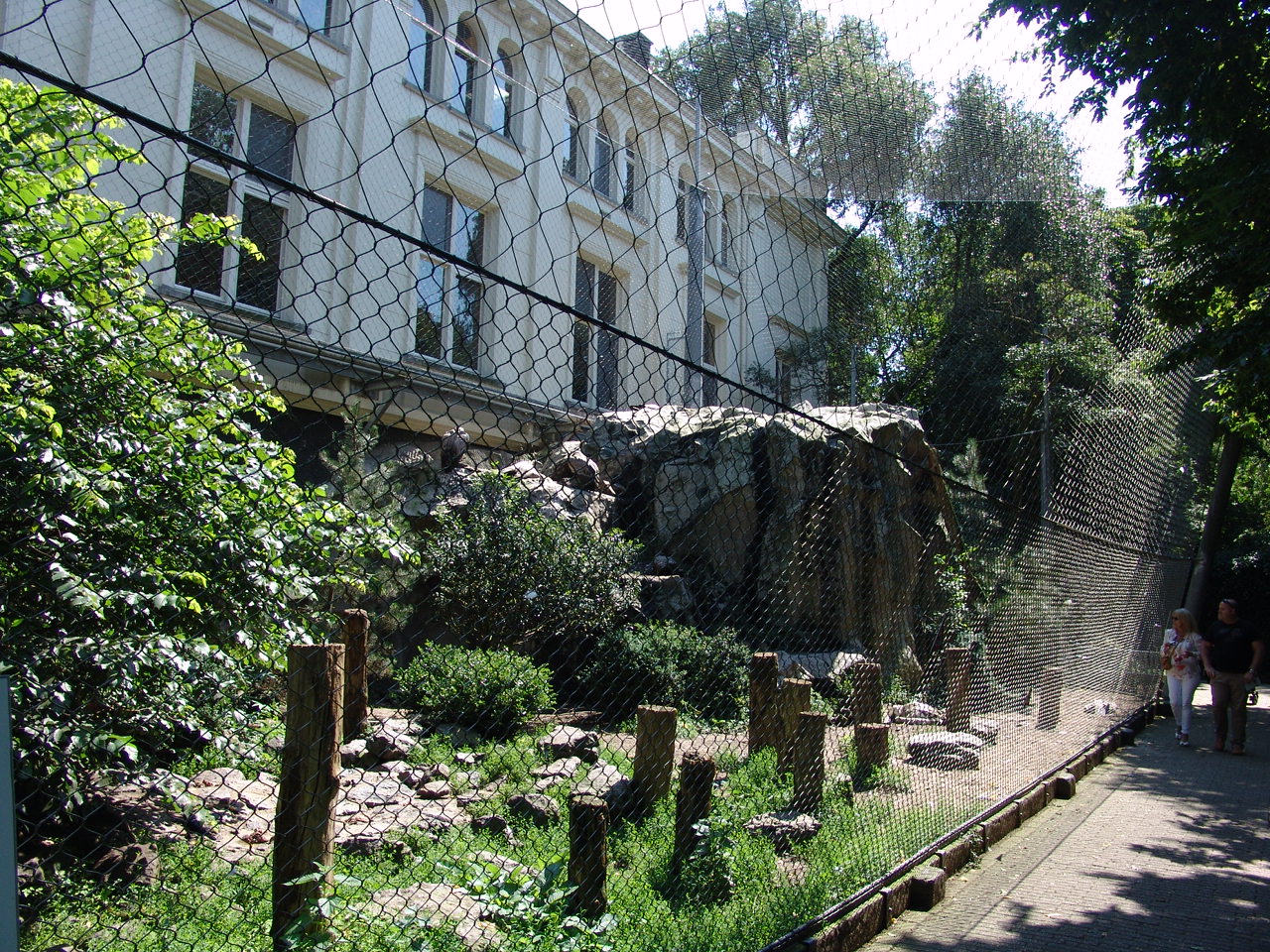Birds of Prey Aviary 1