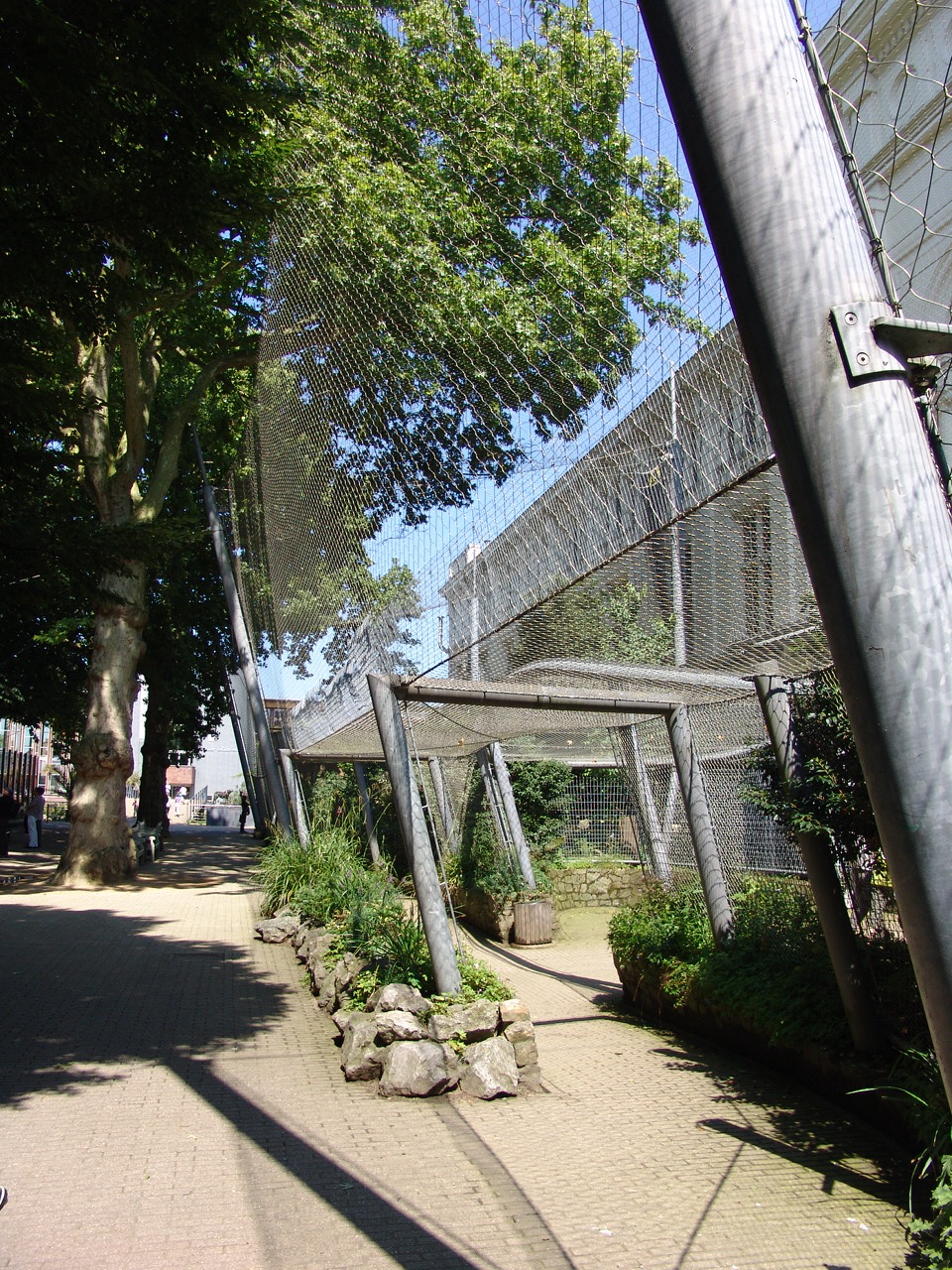 Birds of Prey Aviary 2