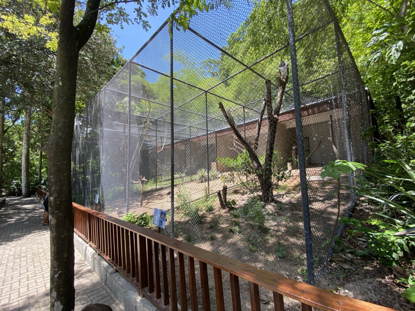 Birds of Prey Aviary (Black-chested Buzzard-Eagle, Crested Caracara)