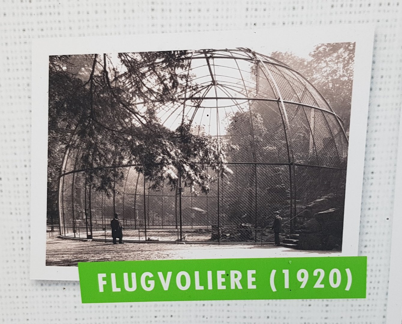 Birds of prey aviary, built in 1920