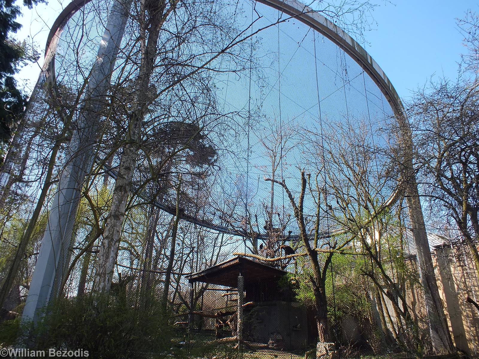 Birds of Prey Aviary