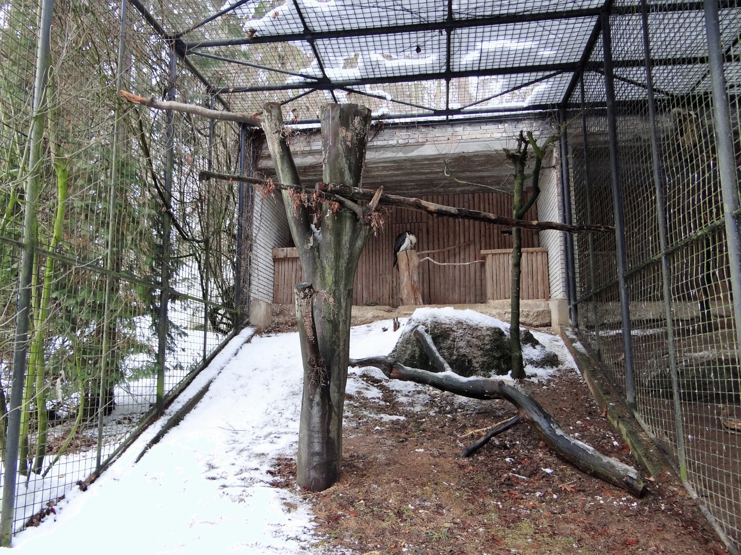 Birds of prey aviary