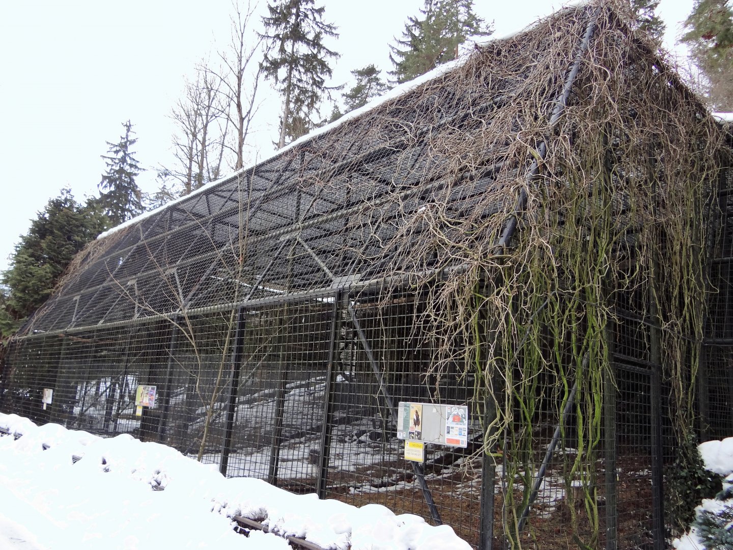 Birds of prey aviary
