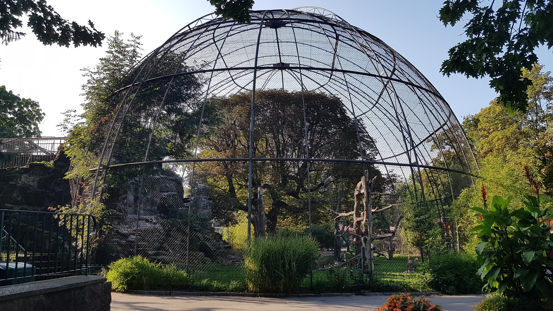 Birds of prey aviary