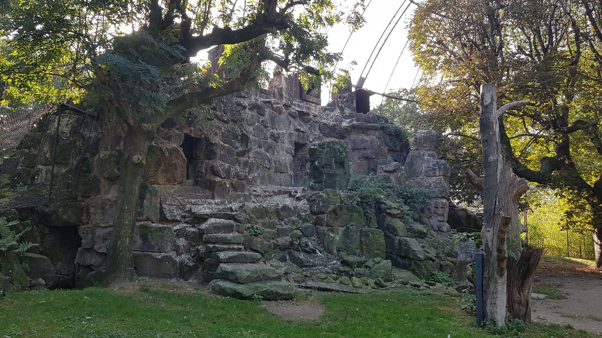 Birds of prey aviary
