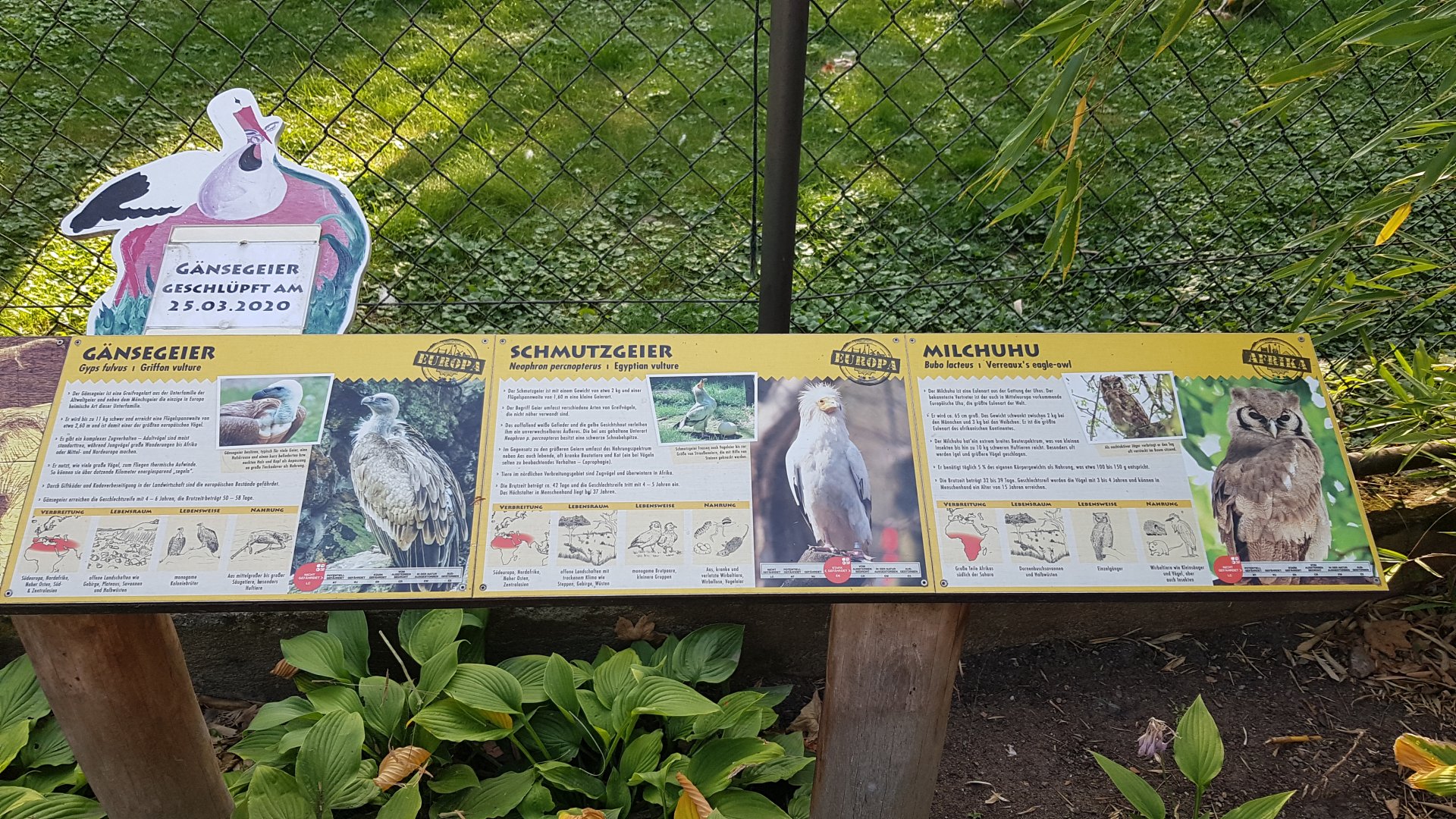 Birds of prey aviary