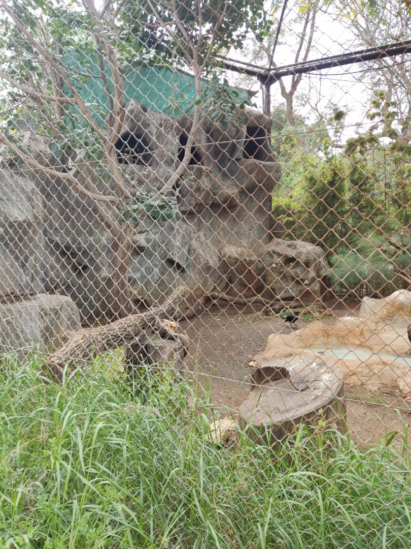 Birds of Prey aviary