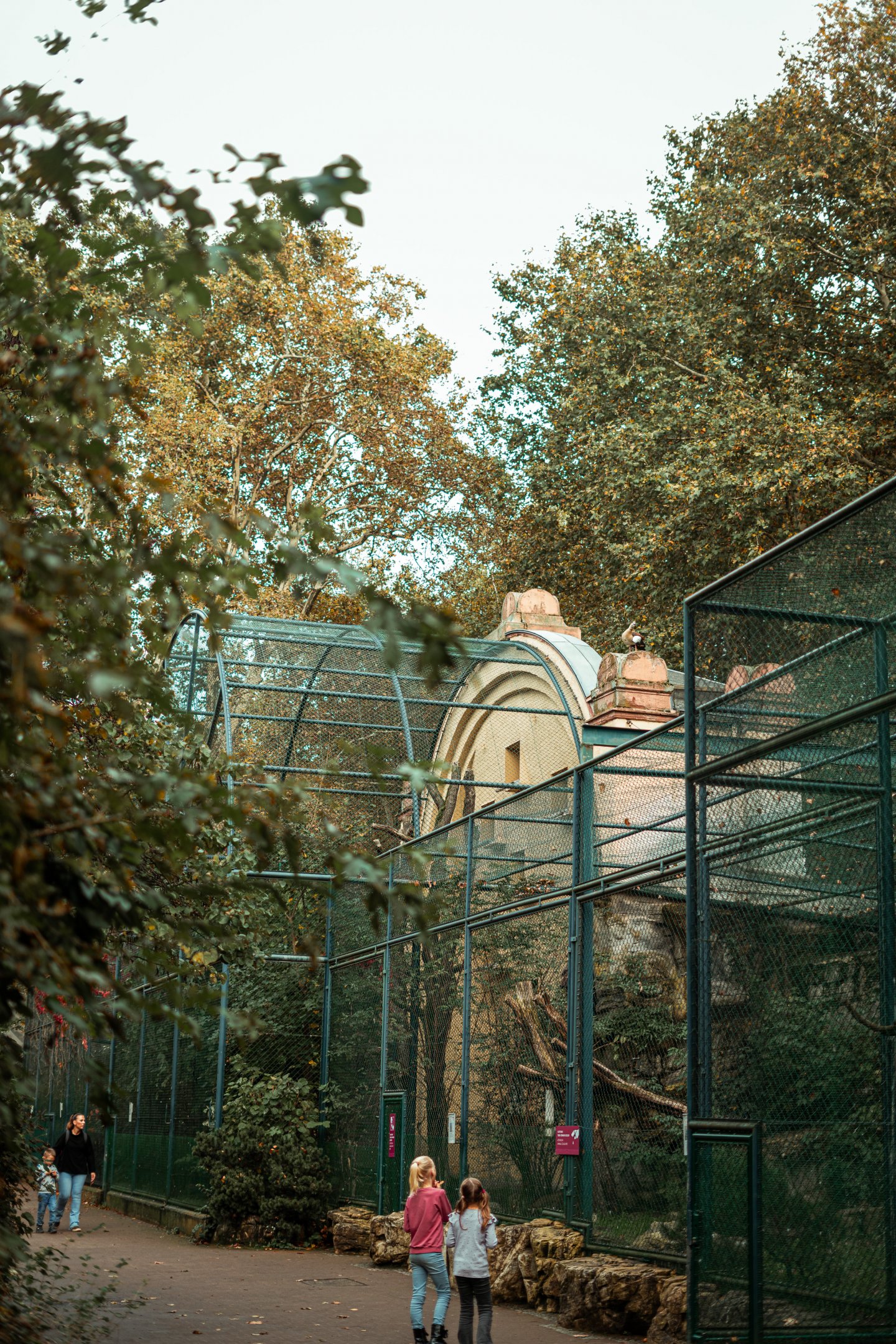 Birds of prey aviary