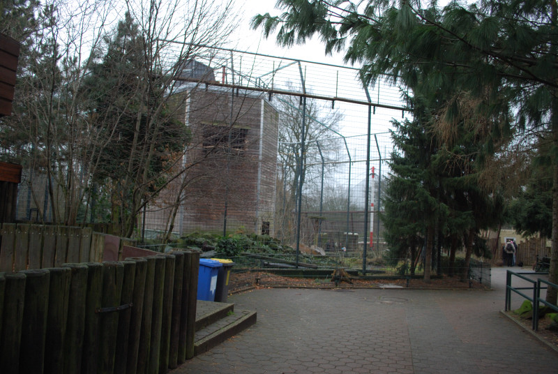 Birds of prey aviary