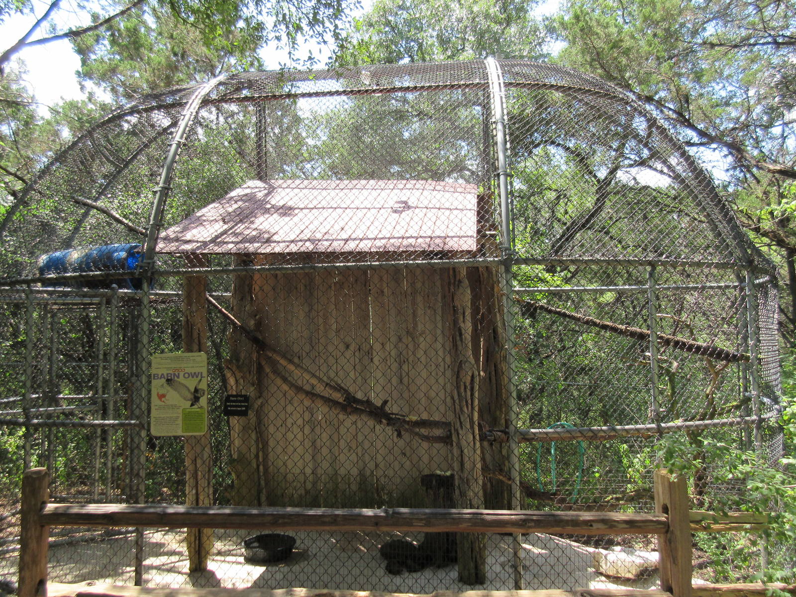 Birds of Prey - Barn Owl Exhibit