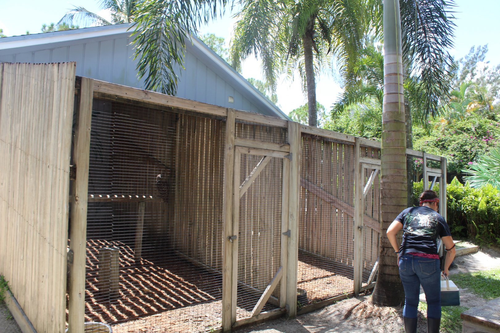Birds of Prey Cages (Barred Owl, Turkey Vulture, Great-Horned Owl) - Mccarthy Wildlife Sanctuary