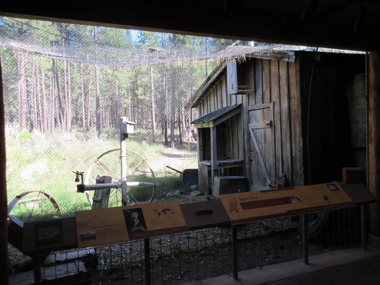 Birds of Prey Center - Barn Owl Exhibit