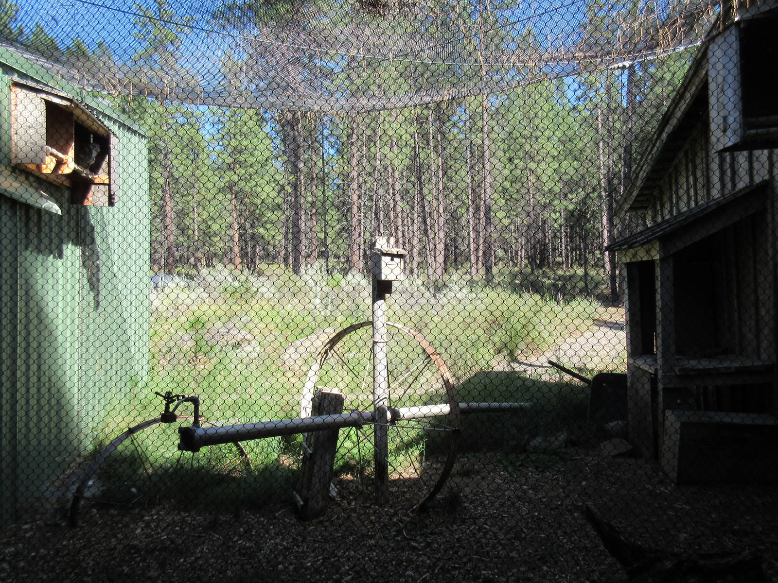 Birds of Prey Center - Barn Owl Exhibit