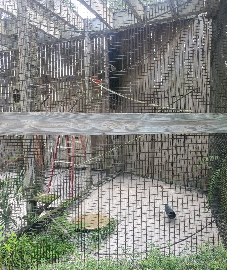 Birds Of Prey Center - Burrowing Owl enclosure