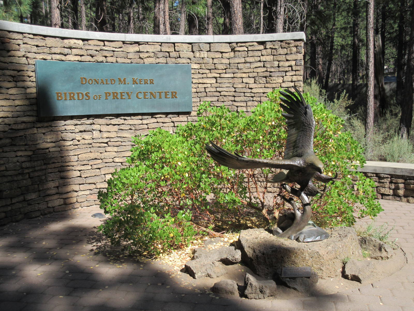 Birds of Prey Center - Eagle Sculpture