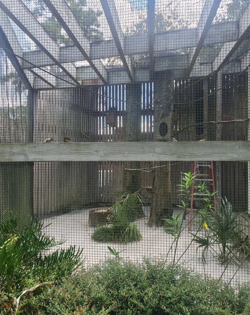 Birds Of Prey Center - Eastern Screech Owl enclosure