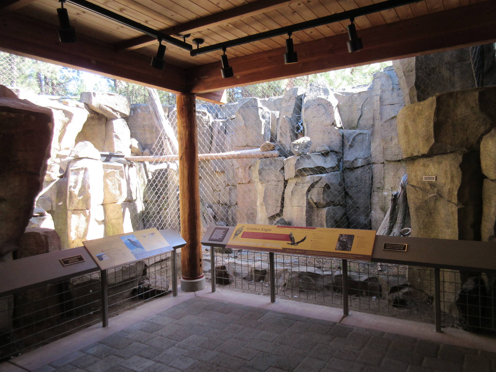 Birds of Prey Center - Golden Eagle Exhibit