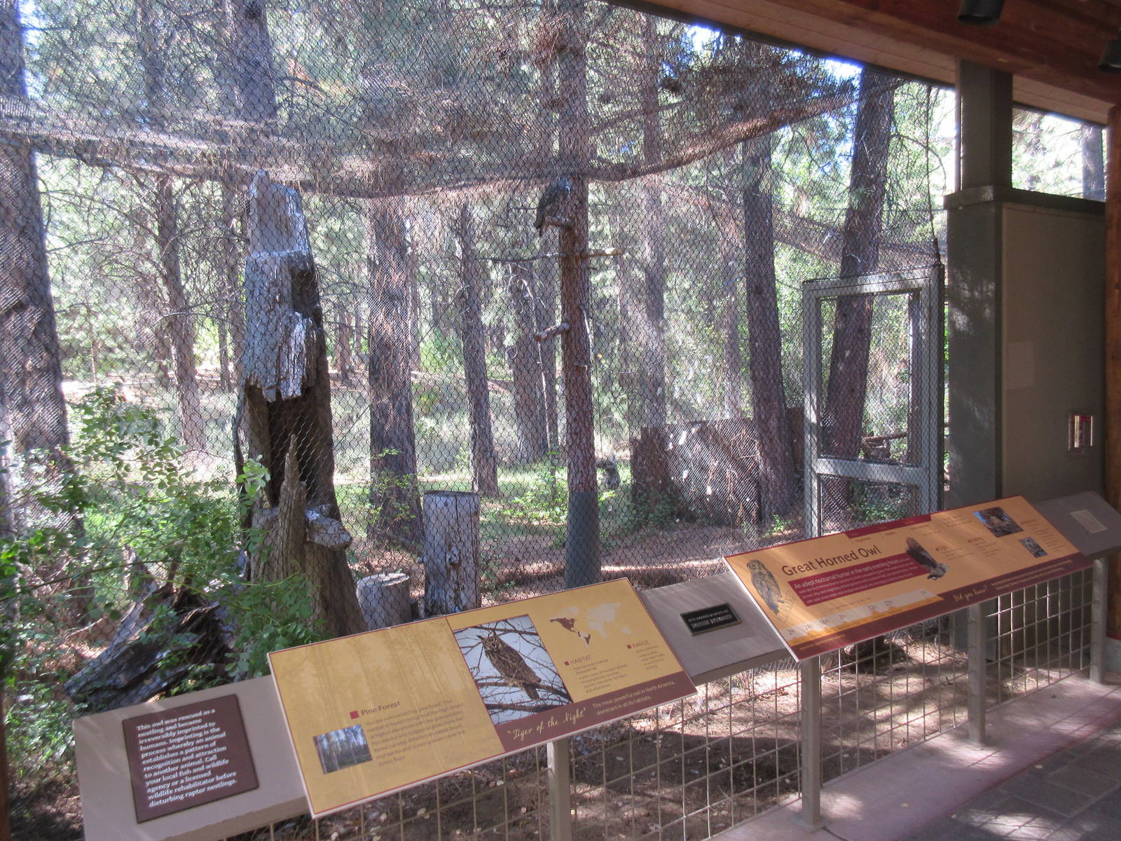 Birds of Prey Center - Great Horned Owl Exhibit