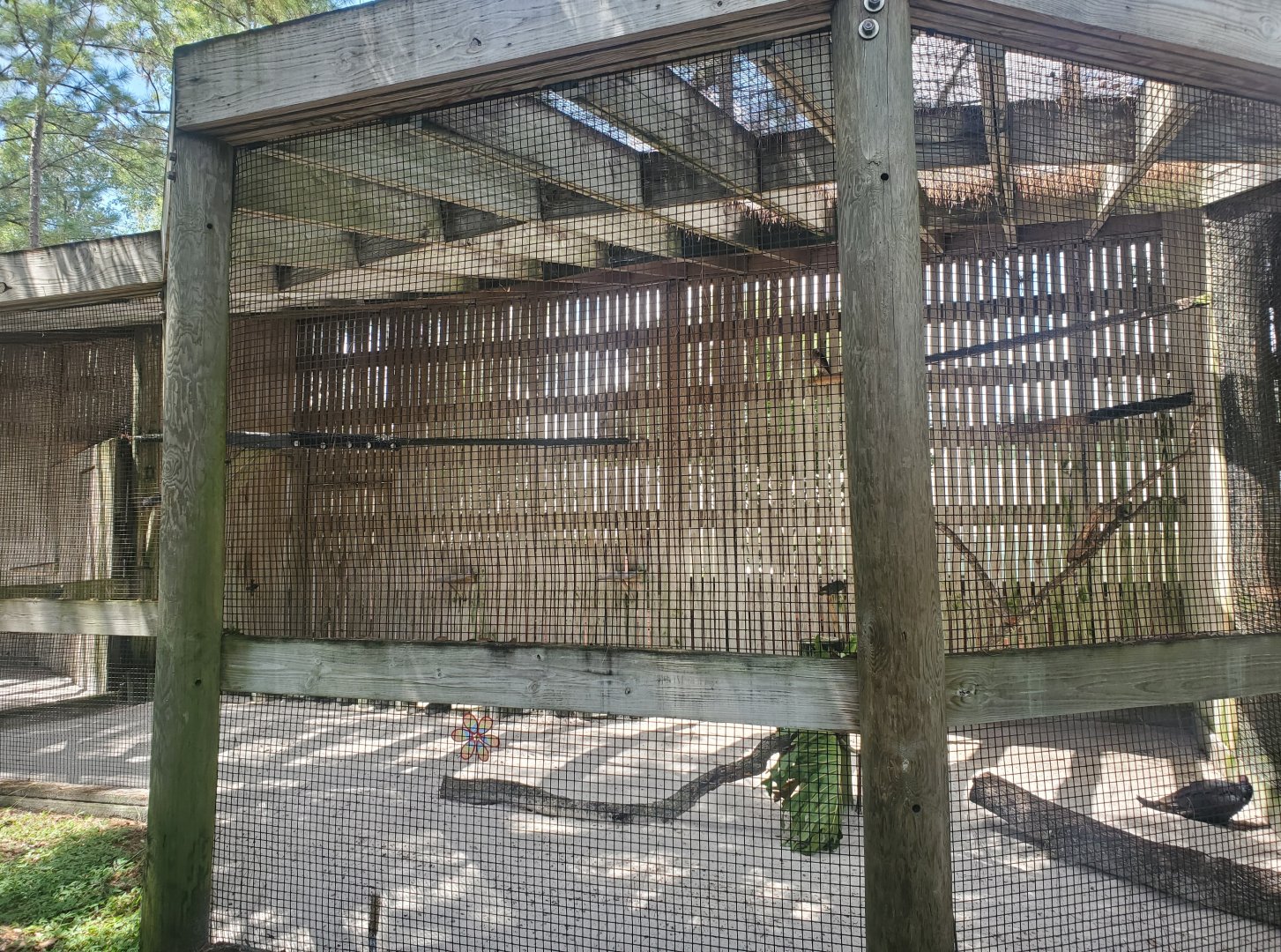Birds Of Prey Center - Hawk enclosure
