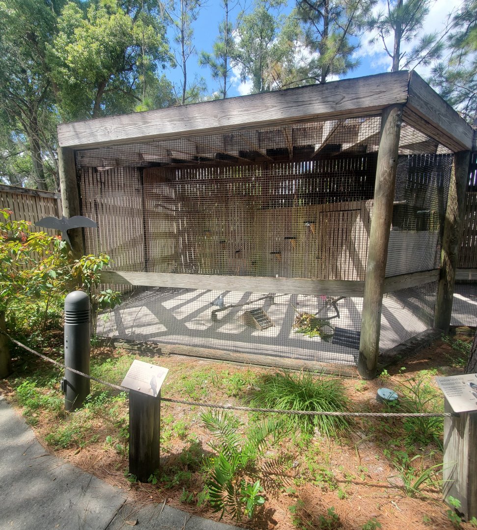 Birds Of Prey Center - Kite enclosure