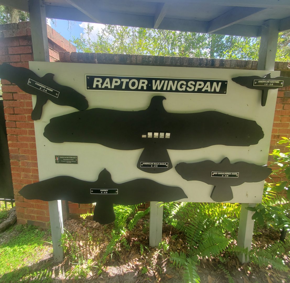 Birds Of Prey Center - Wingspans