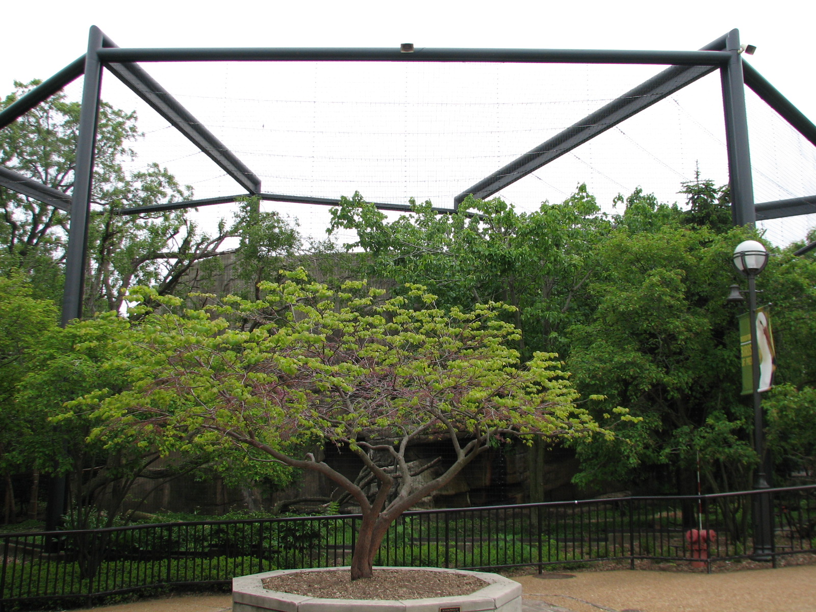 Birds of Prey - Cinereous Vulture and White Stork Exhibit